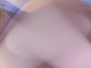标签体系
